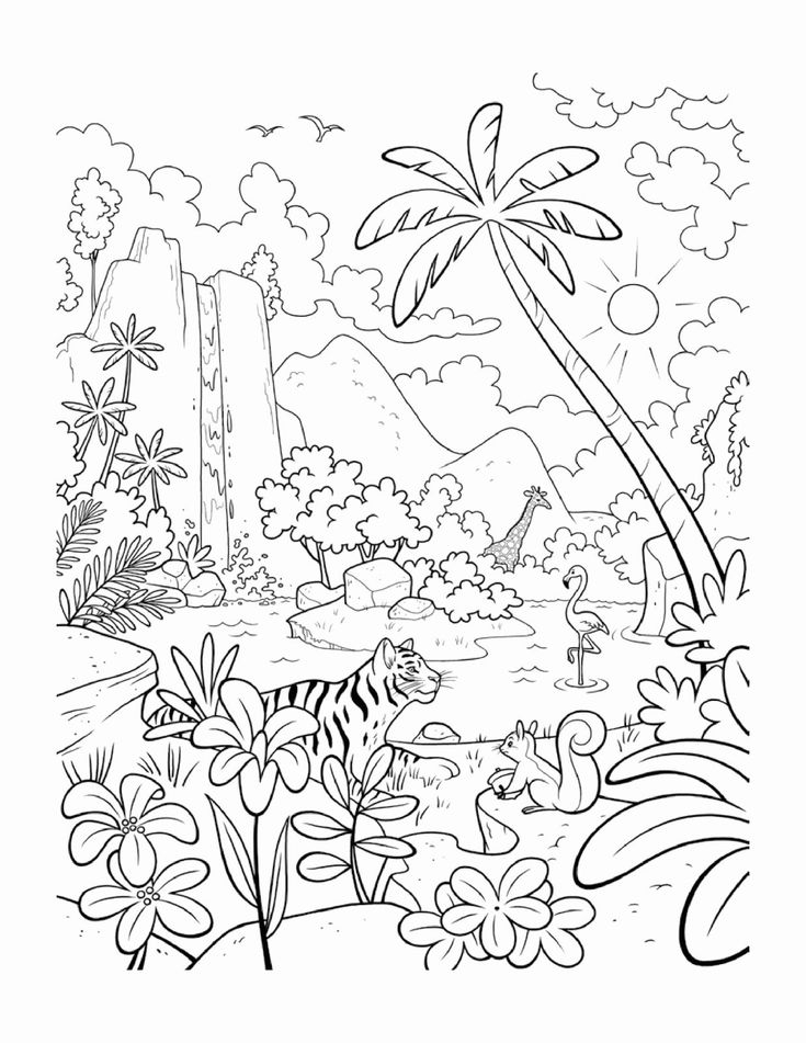 Free Printable Rainforest Coloring Pages Free Printable Rainforest Coloring Pages