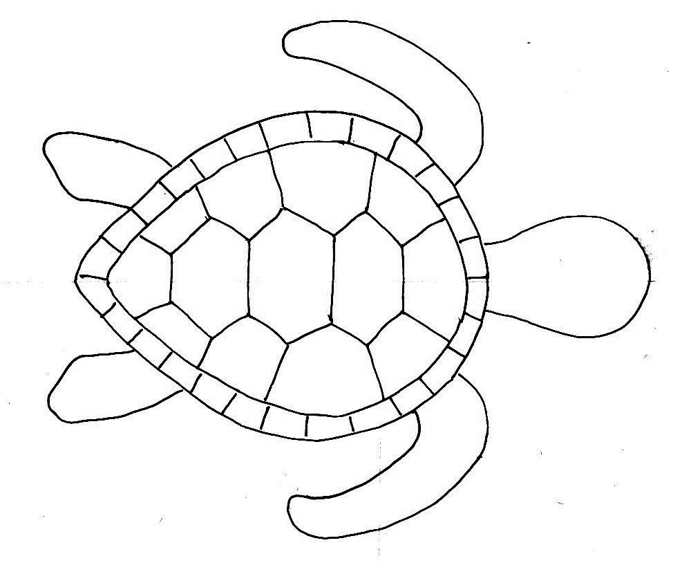 Free Printable Sea Turtle Template Free Printable Sea Turtle Template