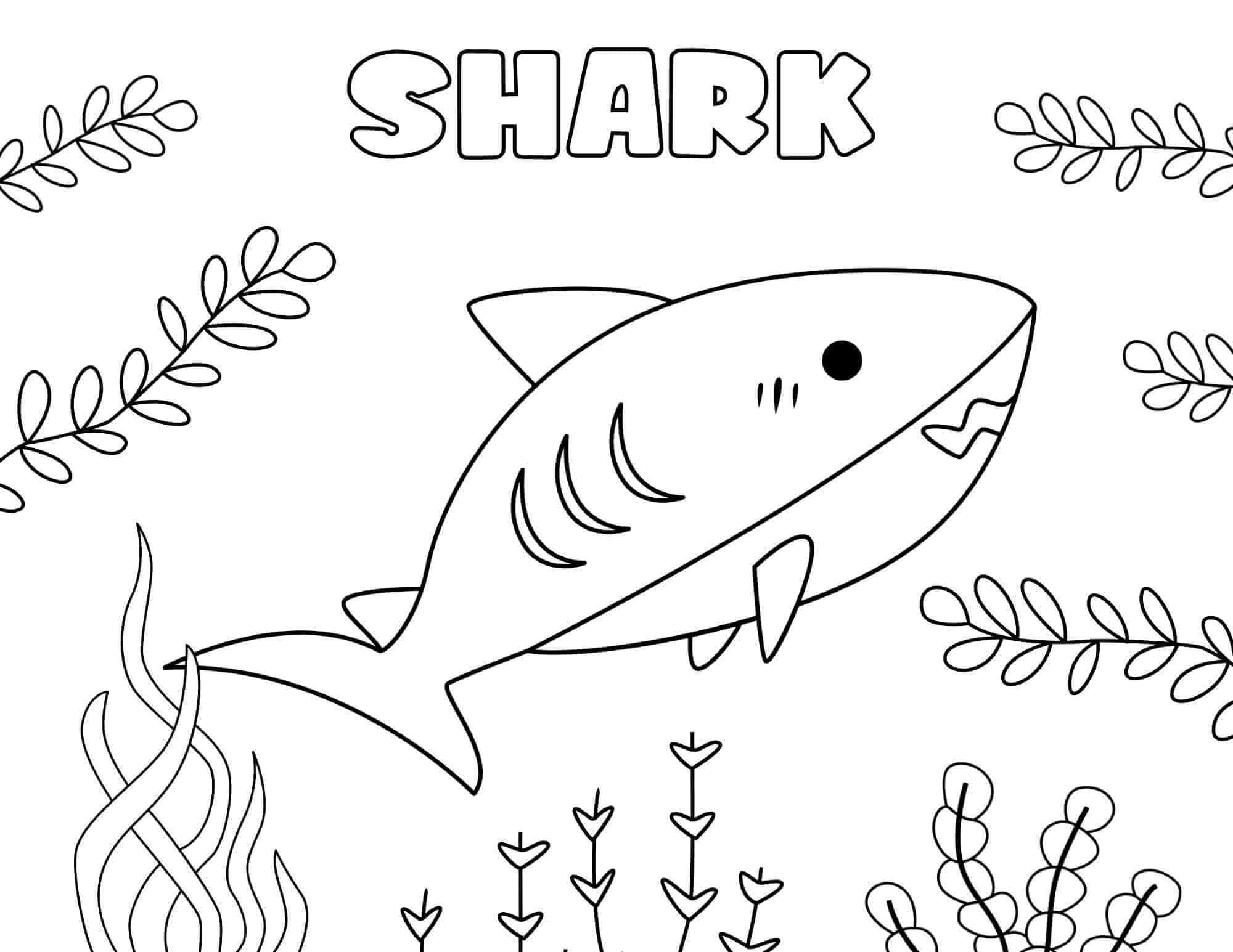 printable shark coloring page printable shark coloring page