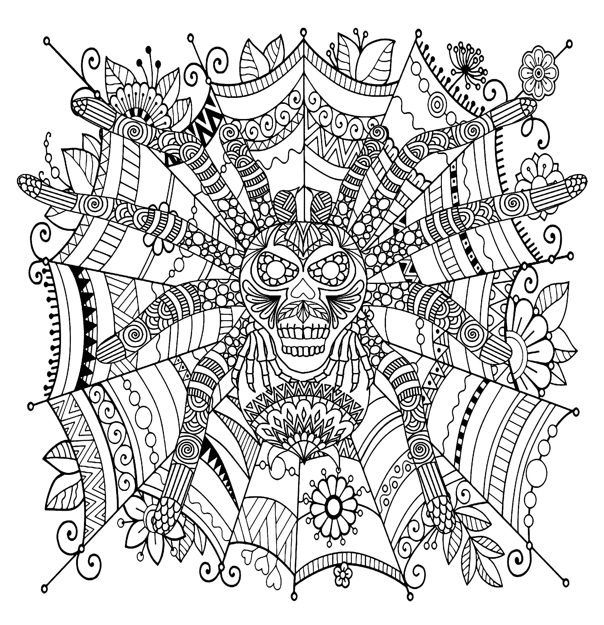 Free Printable Spider Coloring Pages For Kids Free Printable Spider Coloring Pages For Kids