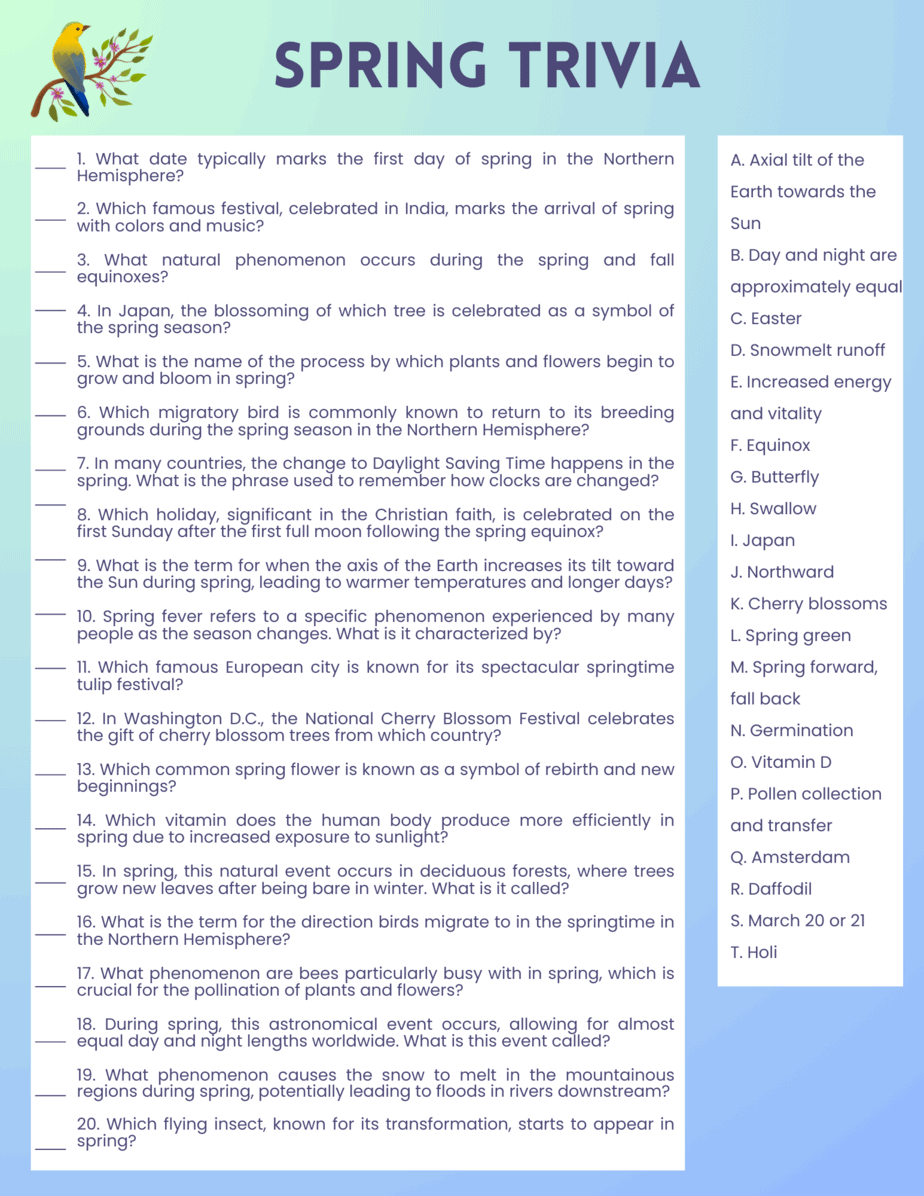 free printable spring drawings free printable spring drawings