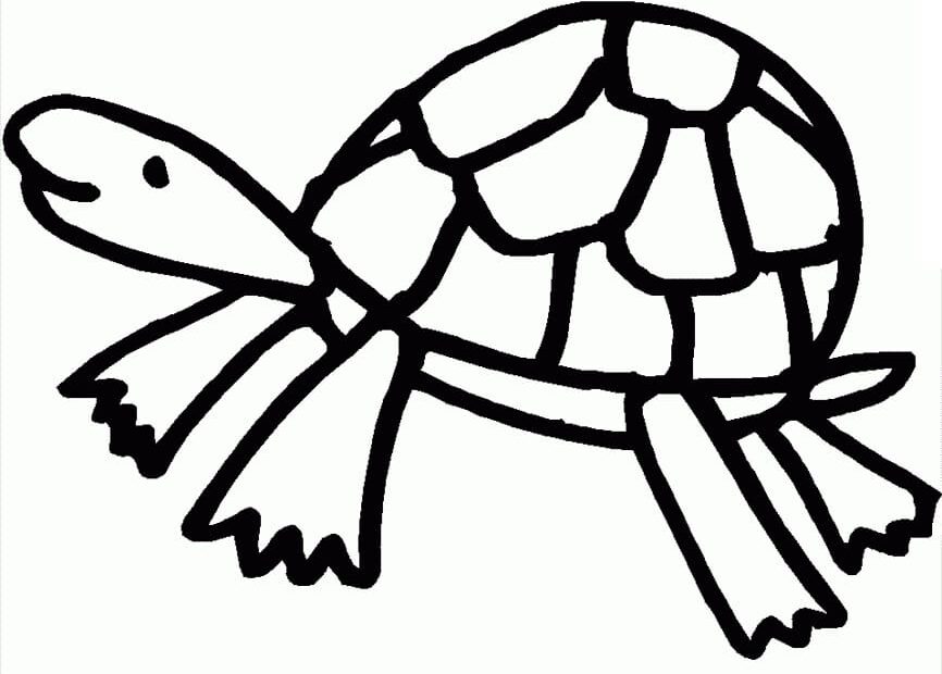 Free Printable Turtle Coloring Page Download Print Or Color Online