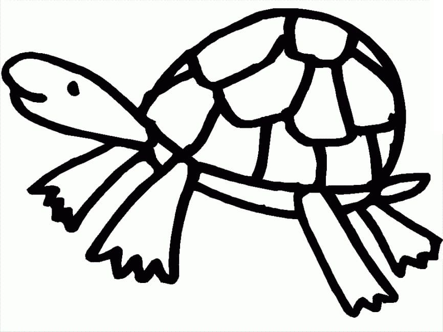 Free Printable Turtle Coloring Page Download Print Or Color Online Free Printable Turtle Coloring Page Download Print Or Color Online