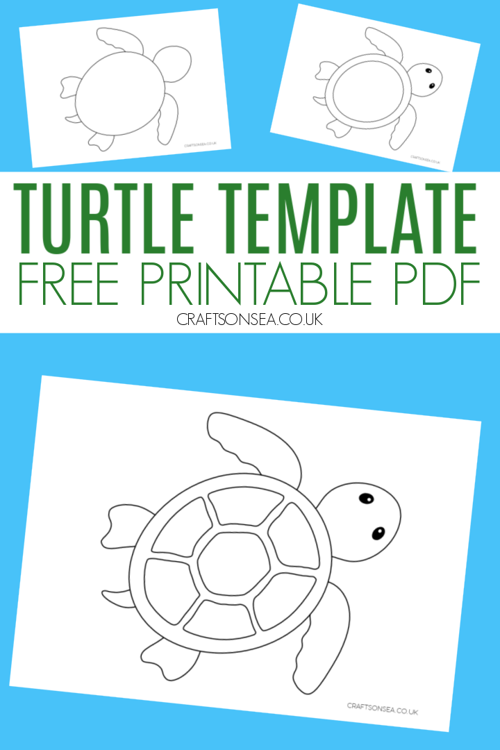 free printable turtle pictures free printable turtle pictures