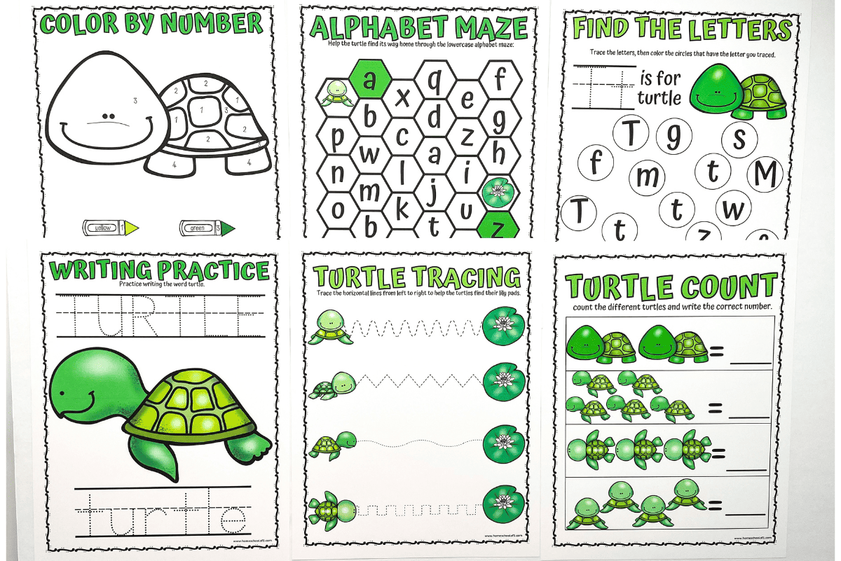 FREE Printable Turtle Worksheets For Preschool Theme 47 OFF FREE Printable Turtle Worksheets For Preschool Theme 47 OFF