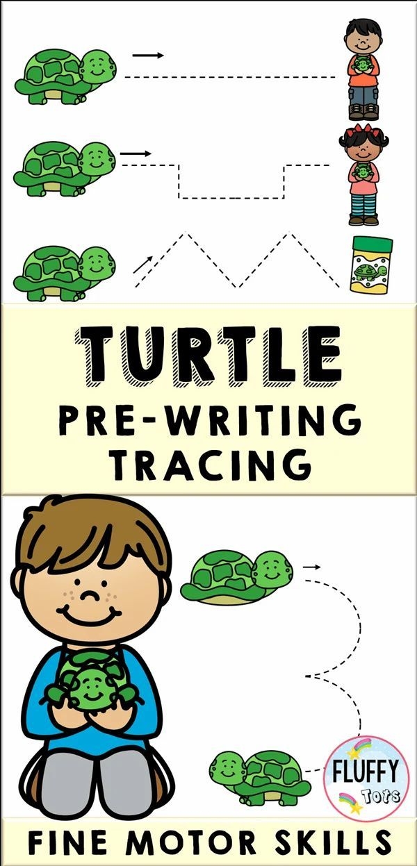 FREE Printable Turtle Worksheets For Preschool Theme 52 OFF FREE Printable Turtle Worksheets For Preschool Theme 52 OFF
