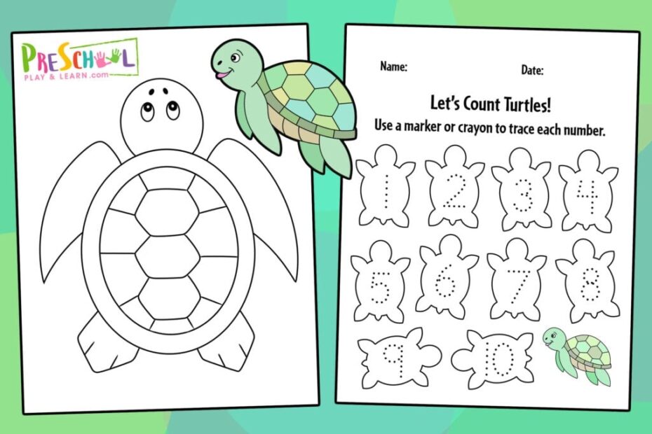FREE Printable Turtle Worksheets For Preschool Theme 52 OFF