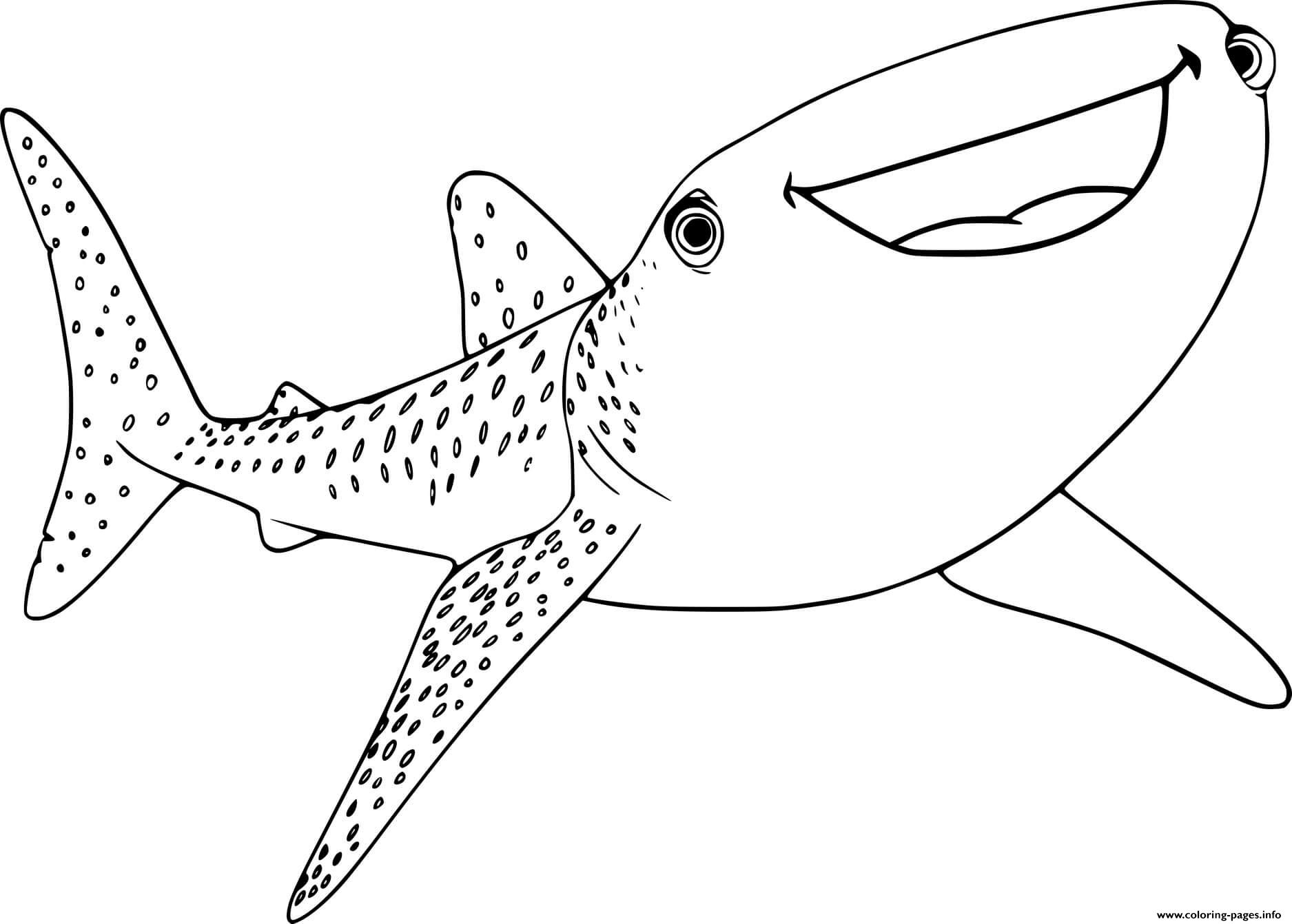 Free Printable Whale Shark Coloring Pages Free Coloring Sheet Free Printable Whale Shark Coloring Pages Free Coloring Sheet