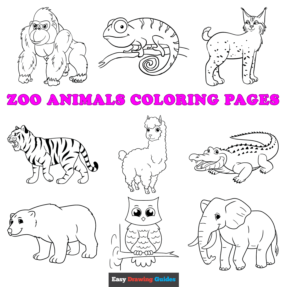 Free Printable Zoo Animals Coloring Pages For Kids Free Printable Zoo Animals Coloring Pages For Kids