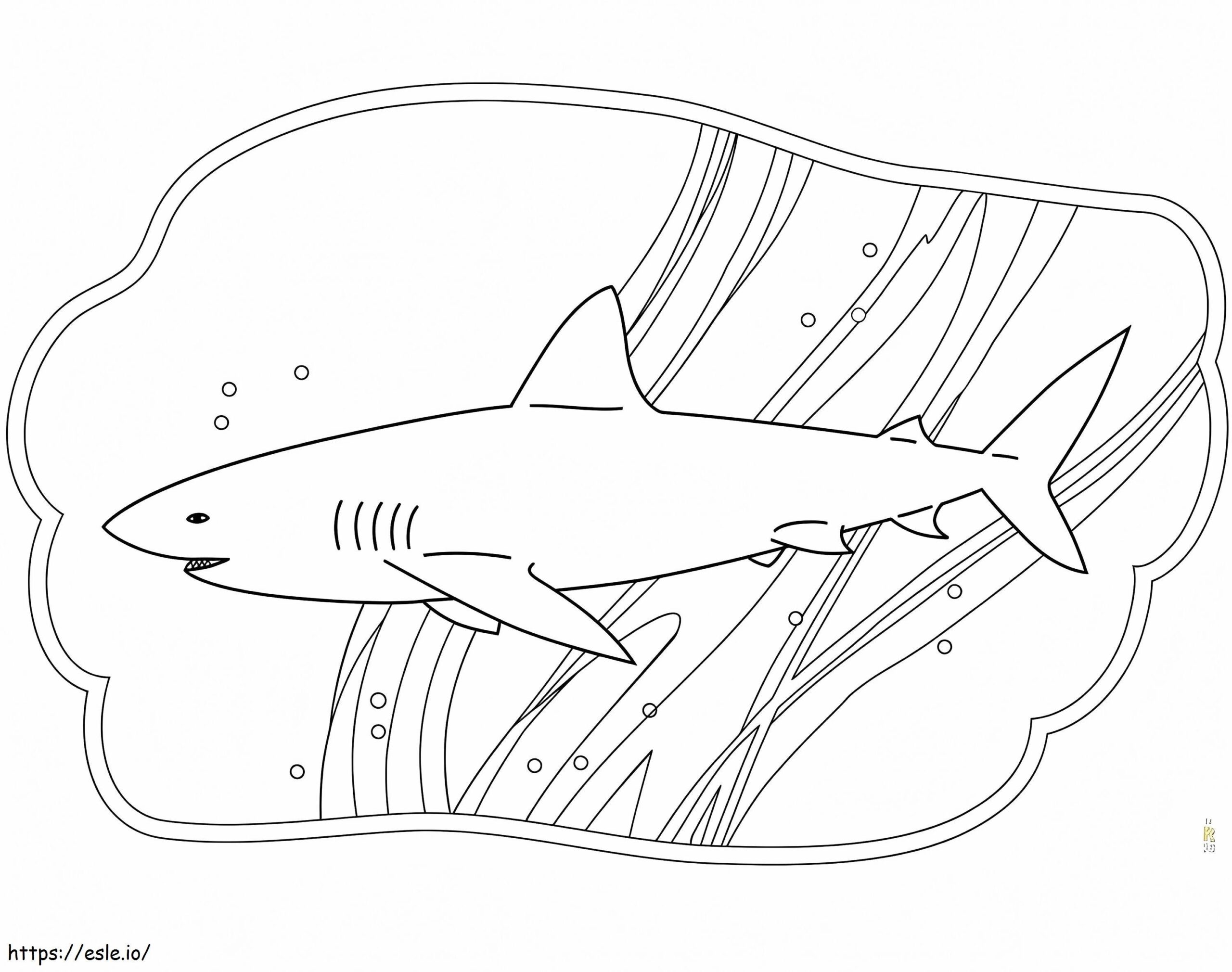 Free Shark Coloring Page Free Shark Coloring Page