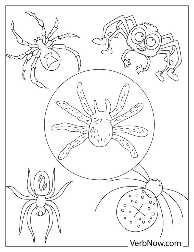 Free SPIDERS Coloring Pages For Download Printable PDF Free SPIDERS Coloring Pages For Download Printable PDF