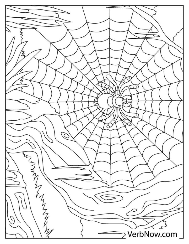 Free SPIDERS Coloring Pages For Download Printable PDF Free SPIDERS Coloring Pages For Download Printable PDF
