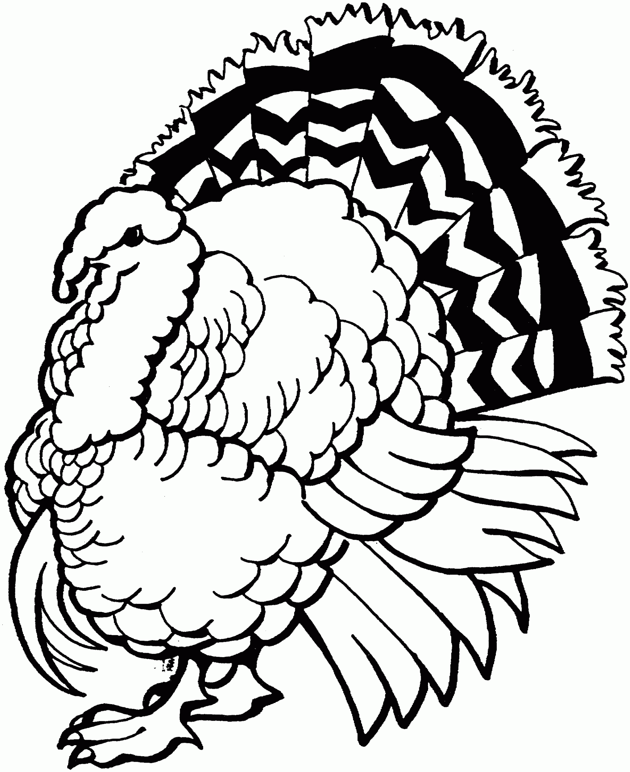 free printable coloring pages turkey free printable coloring pages turkey