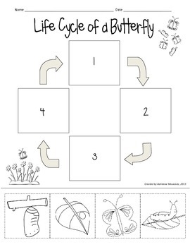  Freebie Butterfly Life Cycle cut Paste By Adrienne Mosiondz