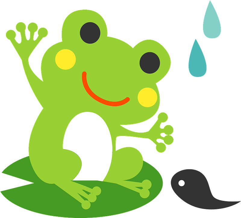 tadpole turning into a frog tadpole turning into a frog