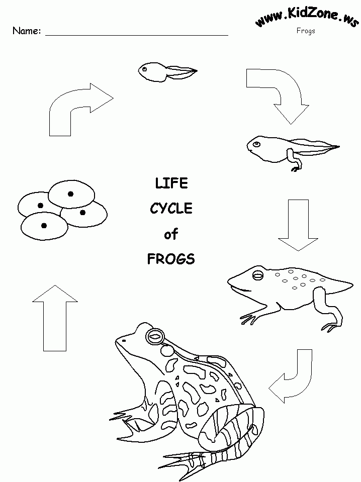 Frog Life Cycle Coloring Page Coloring Home Frog Life Cycle Coloring Page Coloring Home