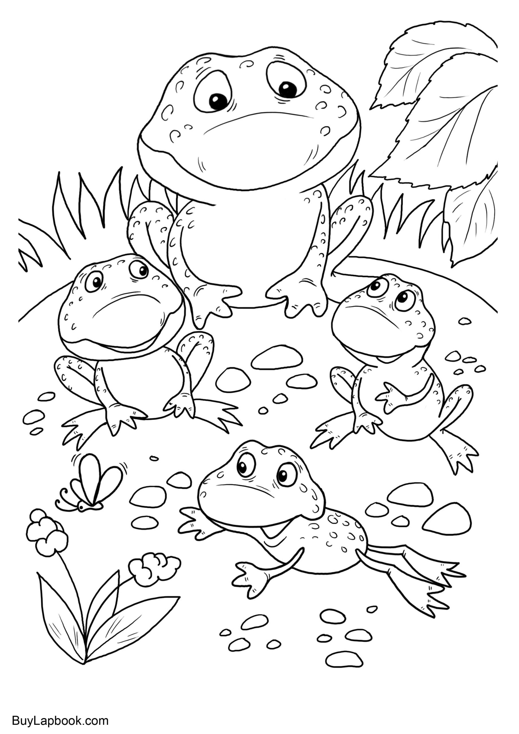 Frog Life Cycle Coloring Sheet Coloring Pages Frog Life Cycle Coloring Sheet Coloring Pages