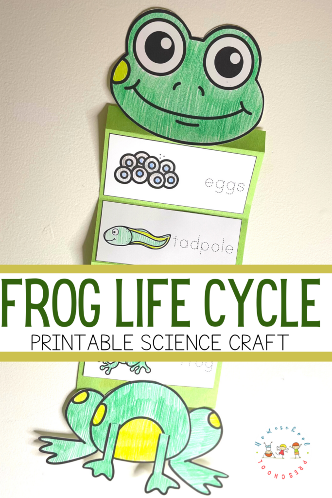 frog life cycle craft template frog life cycle craft template