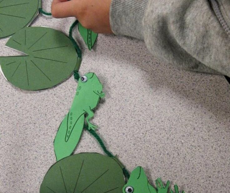 Frog Life Cycle Explained