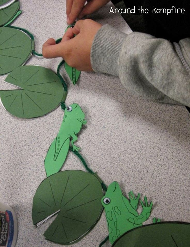 Frog Life Cycle Explained Frog Life Cycle Explained