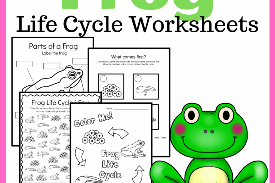 Frog Life Cycle Preschool Activities Homeschool Preschool Shop