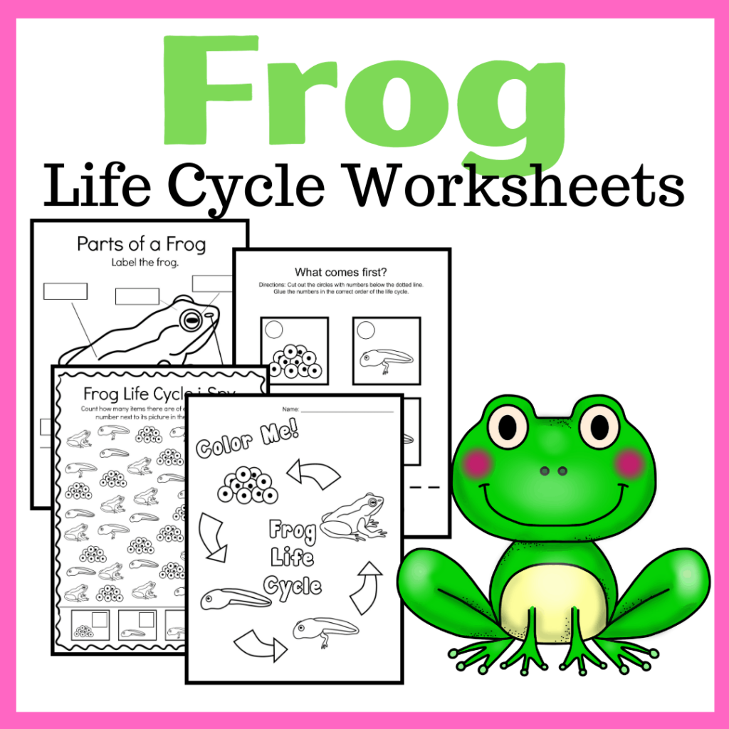 Frog Life Cycle Preschool Activities Homeschool Preschool Shop Frog Life Cycle Preschool Activities Homeschool Preschool Shop