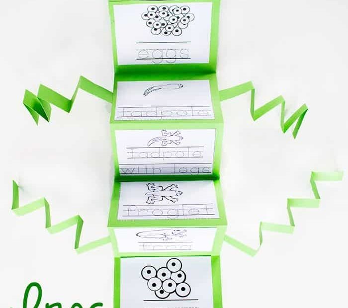 Frog Life Cycle Printable