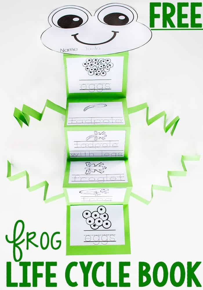 Frog Life Cycle Printable Frog Life Cycle Printable