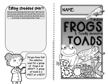 Frogs And Toads Fun Facts About Frogs Their Life Cycle By Green Grubs Frogs And Toads Fun Facts About Frogs Their Life Cycle By Green Grubs
