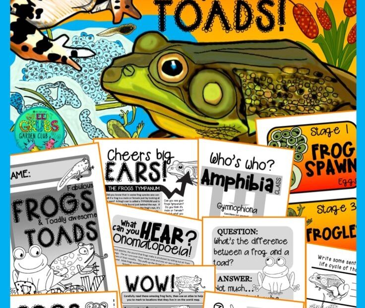 Frogs And Toads Fun Facts About Frogs Their Life Cycle Fun