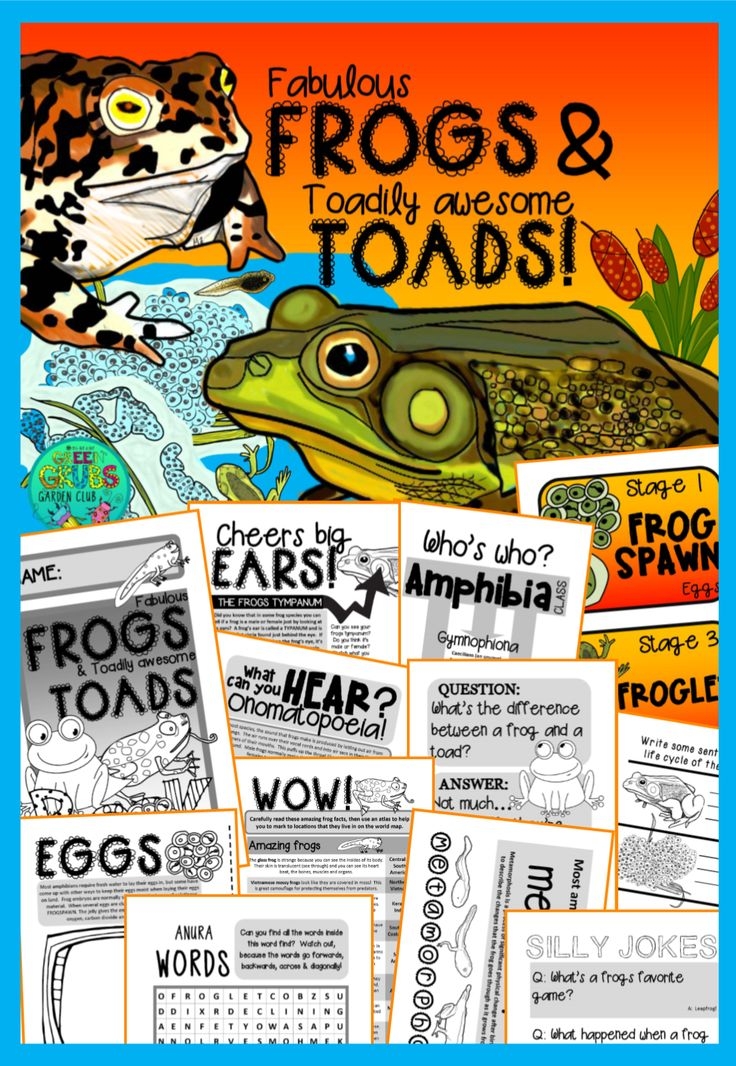 Frogs And Toads Fun Facts About Frogs Their Life Cycle Fun Frogs And Toads Fun Facts About Frogs Their Life Cycle Fun