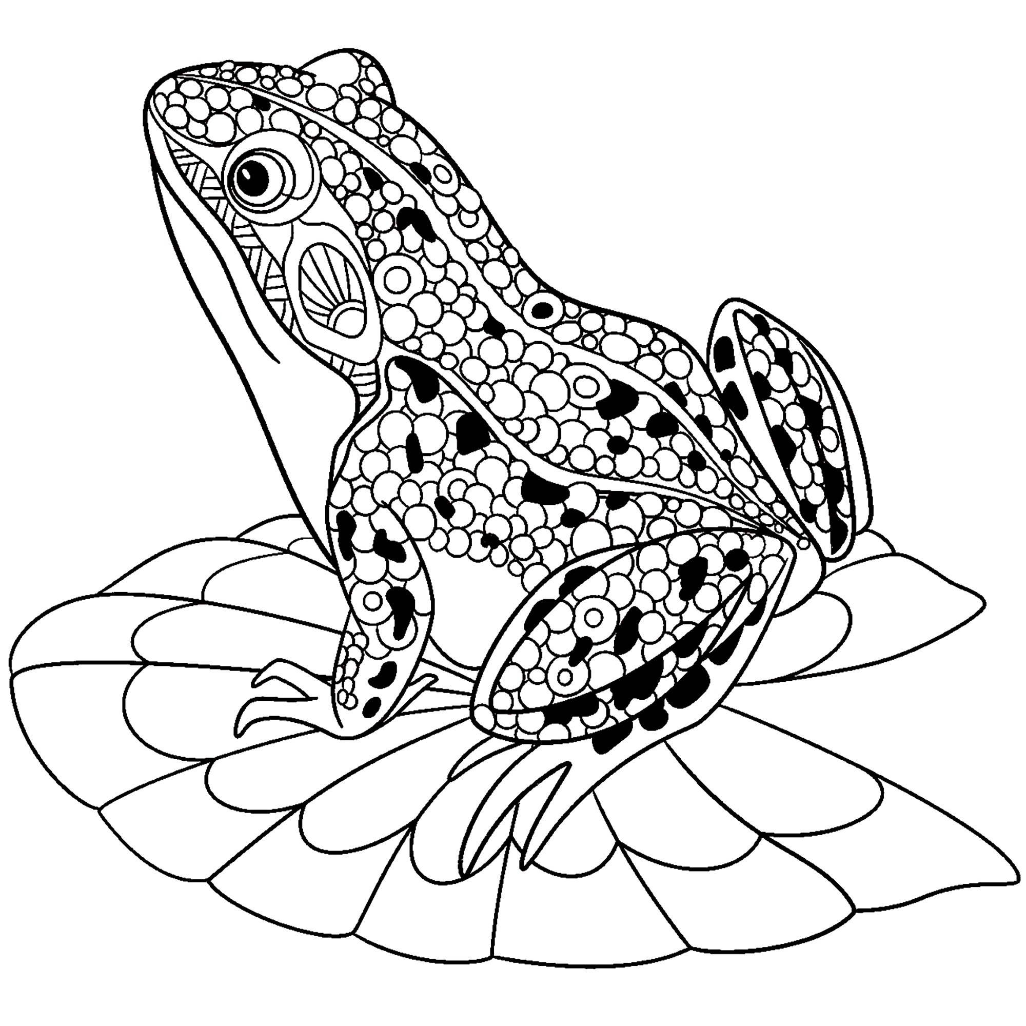 Frogs Free To Color For Children Frogs Kids Coloring Pages Frogs Free To Color For Children Frogs Kids Coloring Pages
