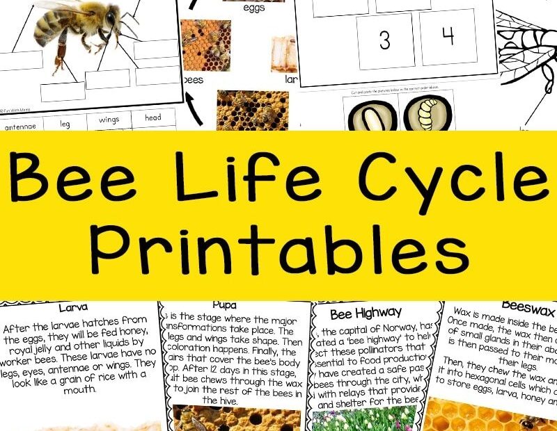 Fun With Mama Kids Activities And Toddler Activities Insect