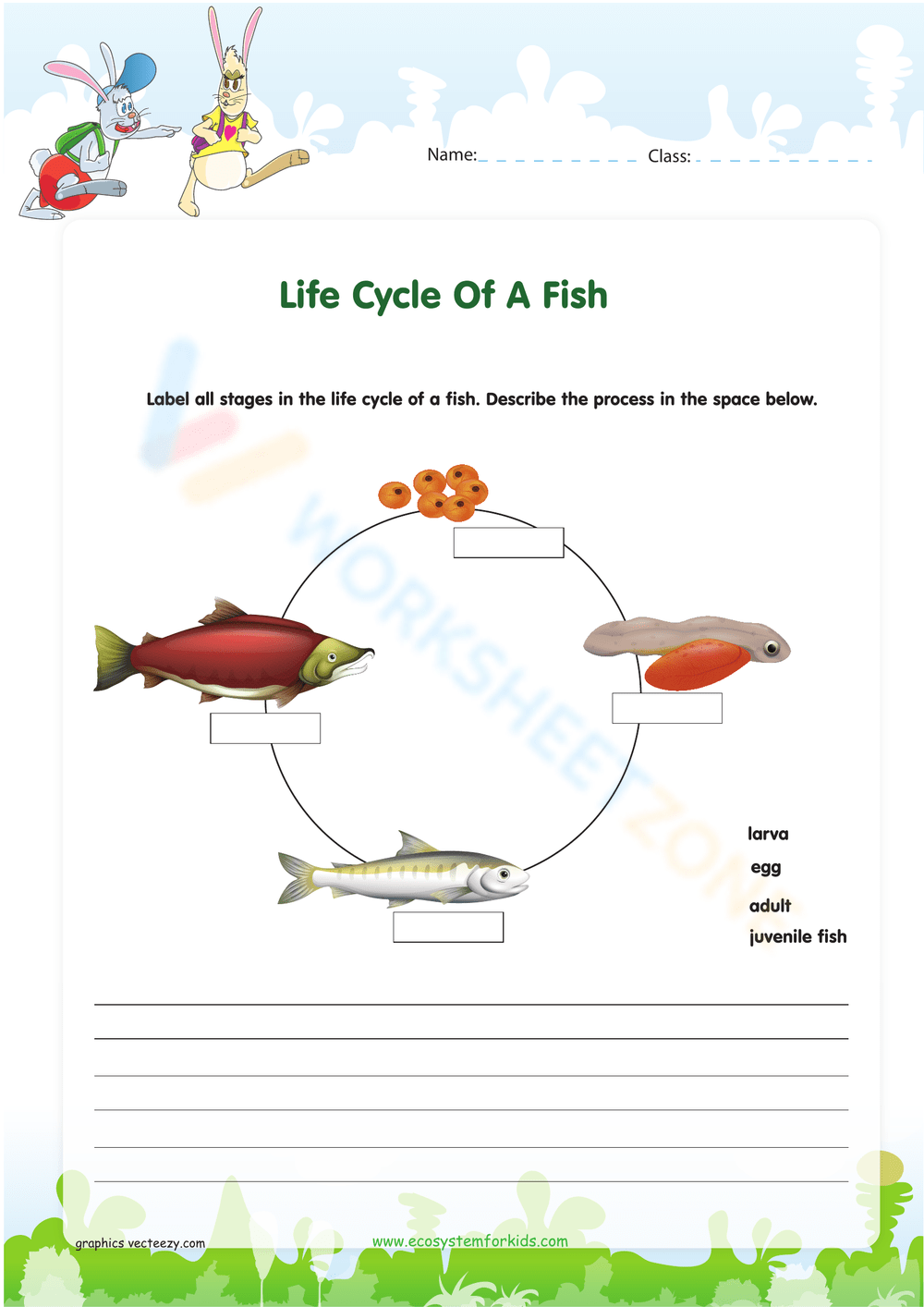 Grade 2 Salmon Life Cycle Worksheets 2024 Worksheets Library Grade 2 Salmon Life Cycle Worksheets 2024 Worksheets Library