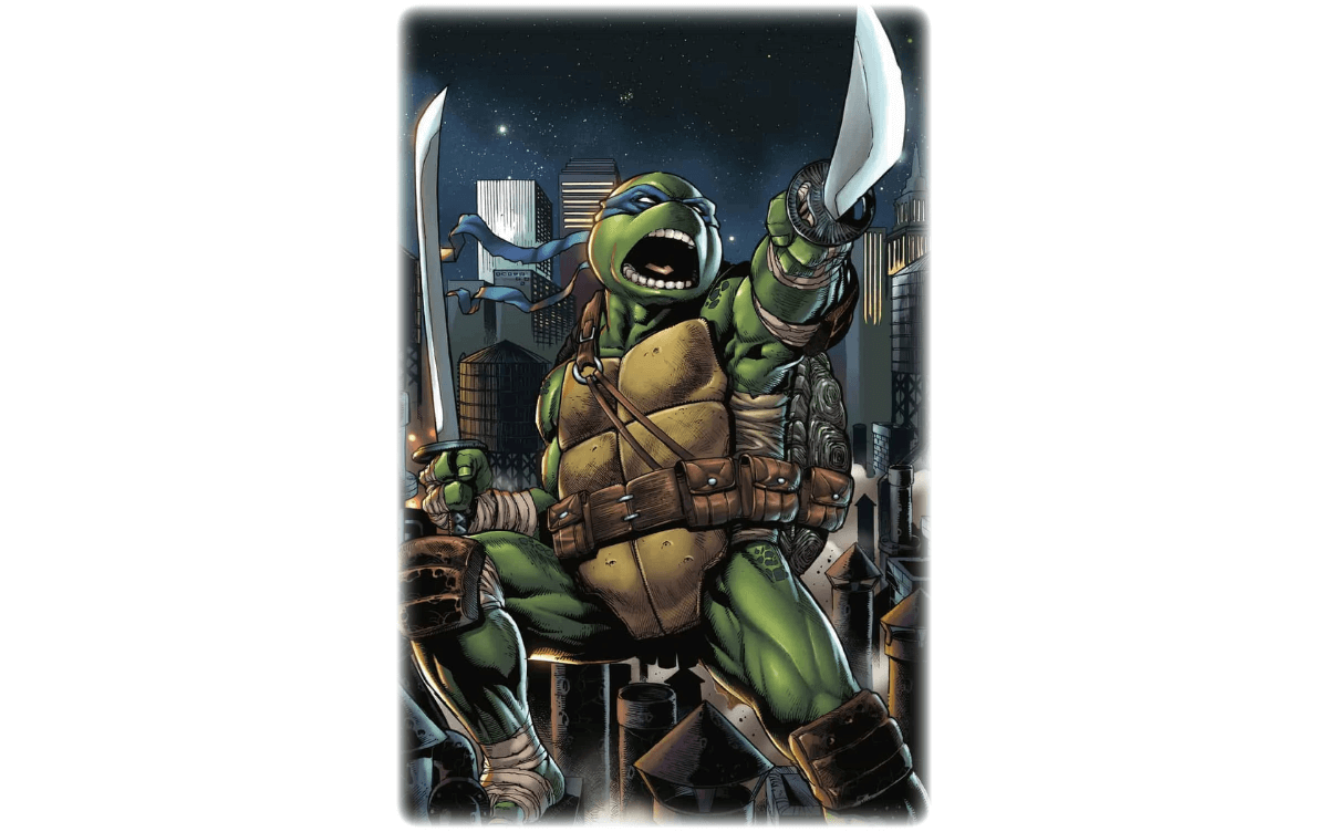 ninja turtle names and colors ninja turtle names and colors