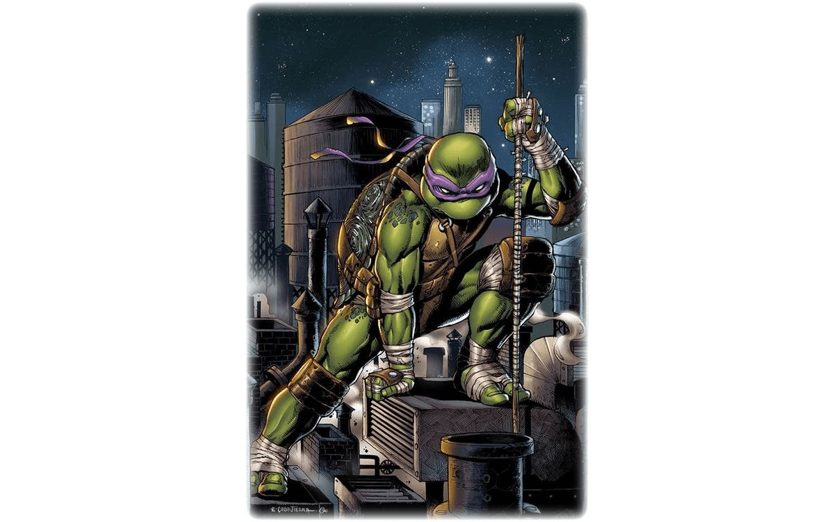 Guide Ninja Turtle Names And Colors For TMNT Superfans My Pet 39 s Name Guide Ninja Turtle Names And Colors For TMNT Superfans My Pet 39 s Name