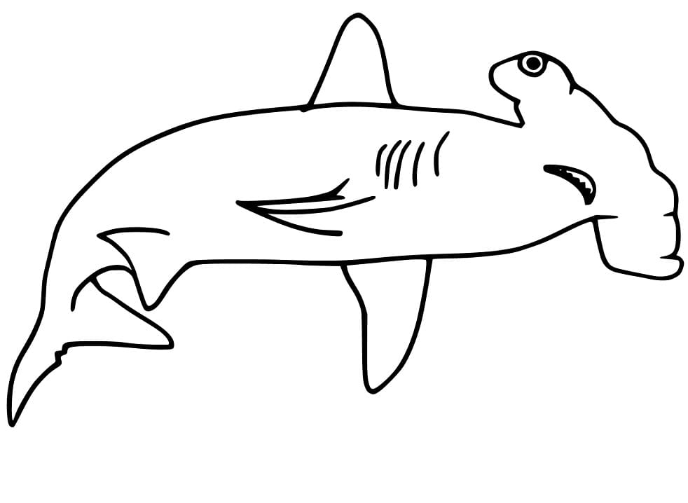 Hammerhead Shark 5 Coloring Page Free Printable Coloring Pages For Kids Hammerhead Shark 5 Coloring Page Free Printable Coloring Pages For Kids