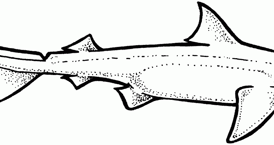 Hammerhead Shark Coloring Pages Free Coloring Home