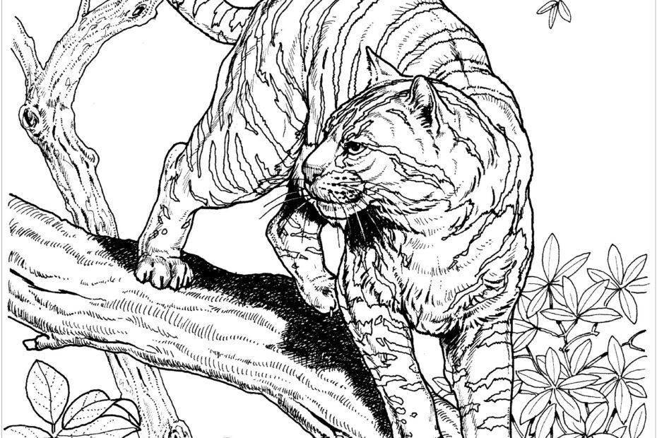 Hard Animal 2 Coloring Page Free Printable Coloring Pages