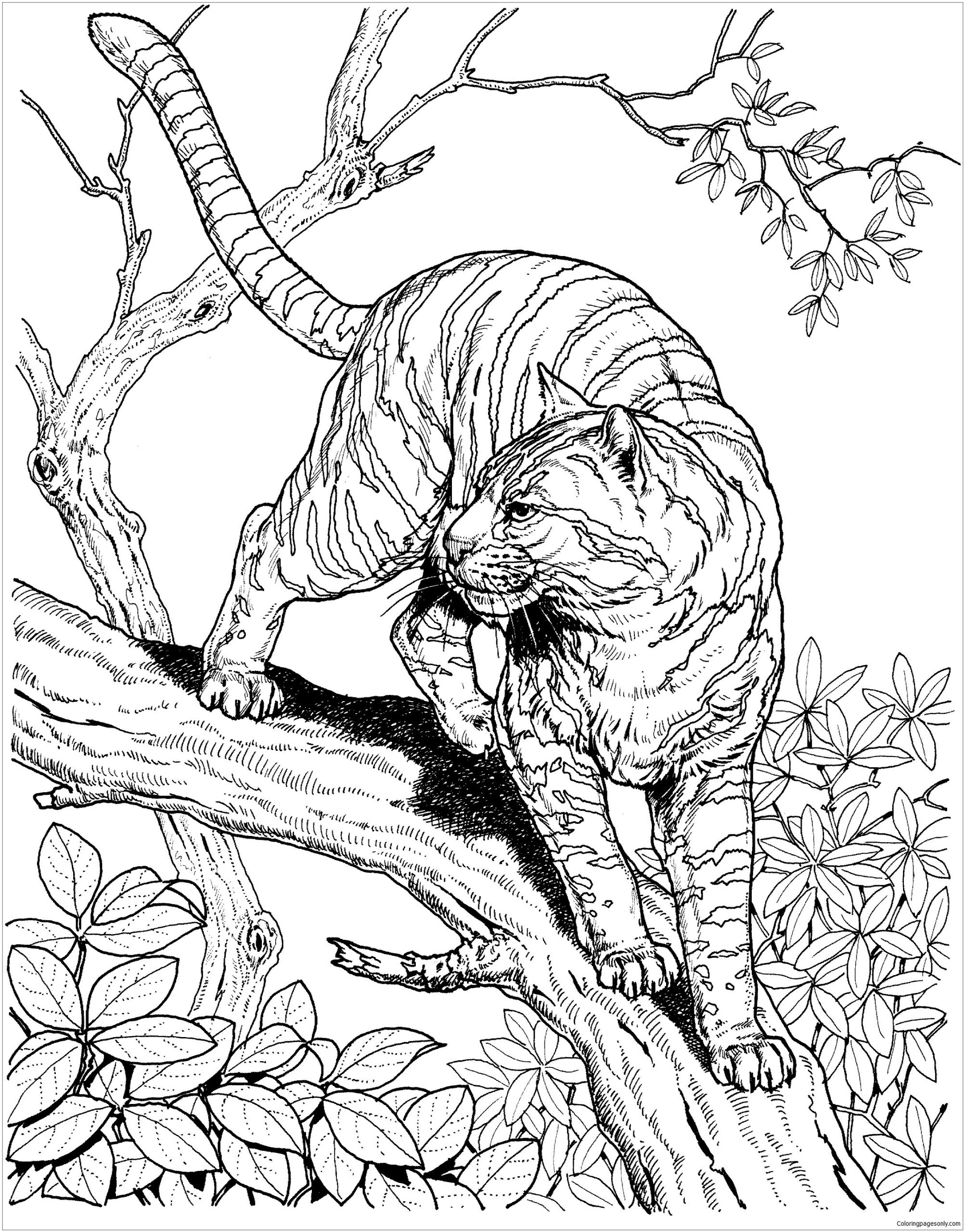 Hard Animal 2 Coloring Page Free Printable Coloring Pages Hard Animal 2 Coloring Page Free Printable Coloring Pages