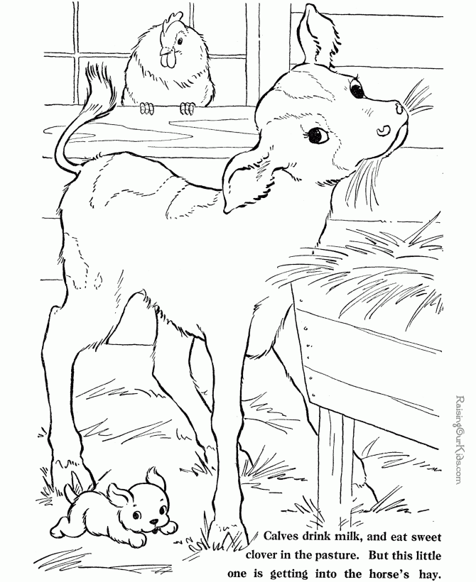 farm animal coloring sheets free farm animal coloring sheets free