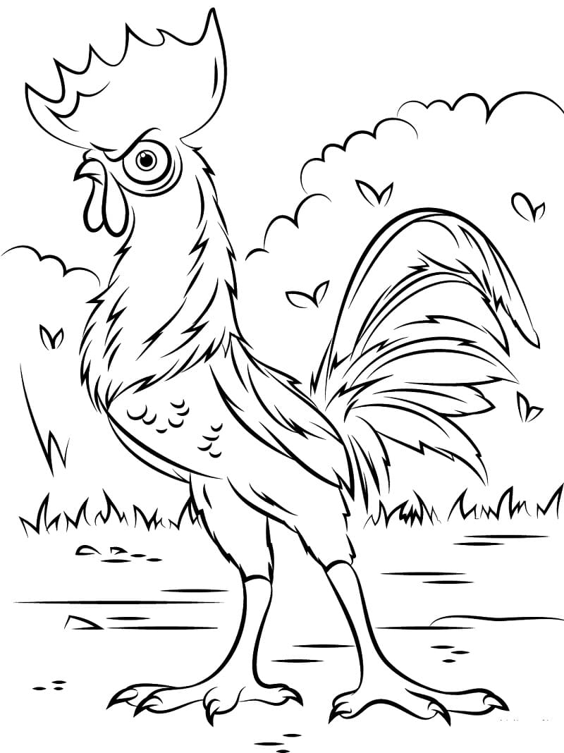 Moana Hei Hei Printable Coloring Pages Moana Hei Hei Printable Coloring Pages