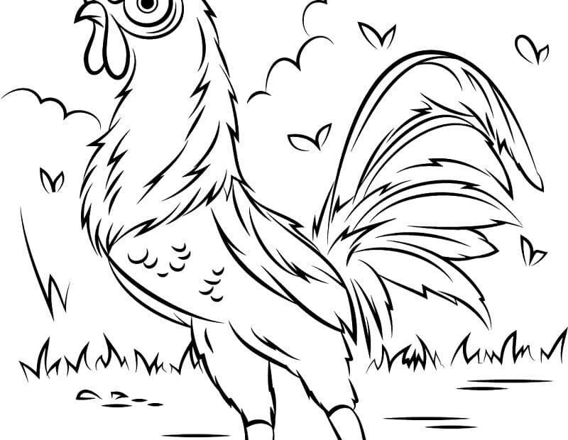 Hei Hei From Moana Coloring Page Download Print Or Color Online For Free