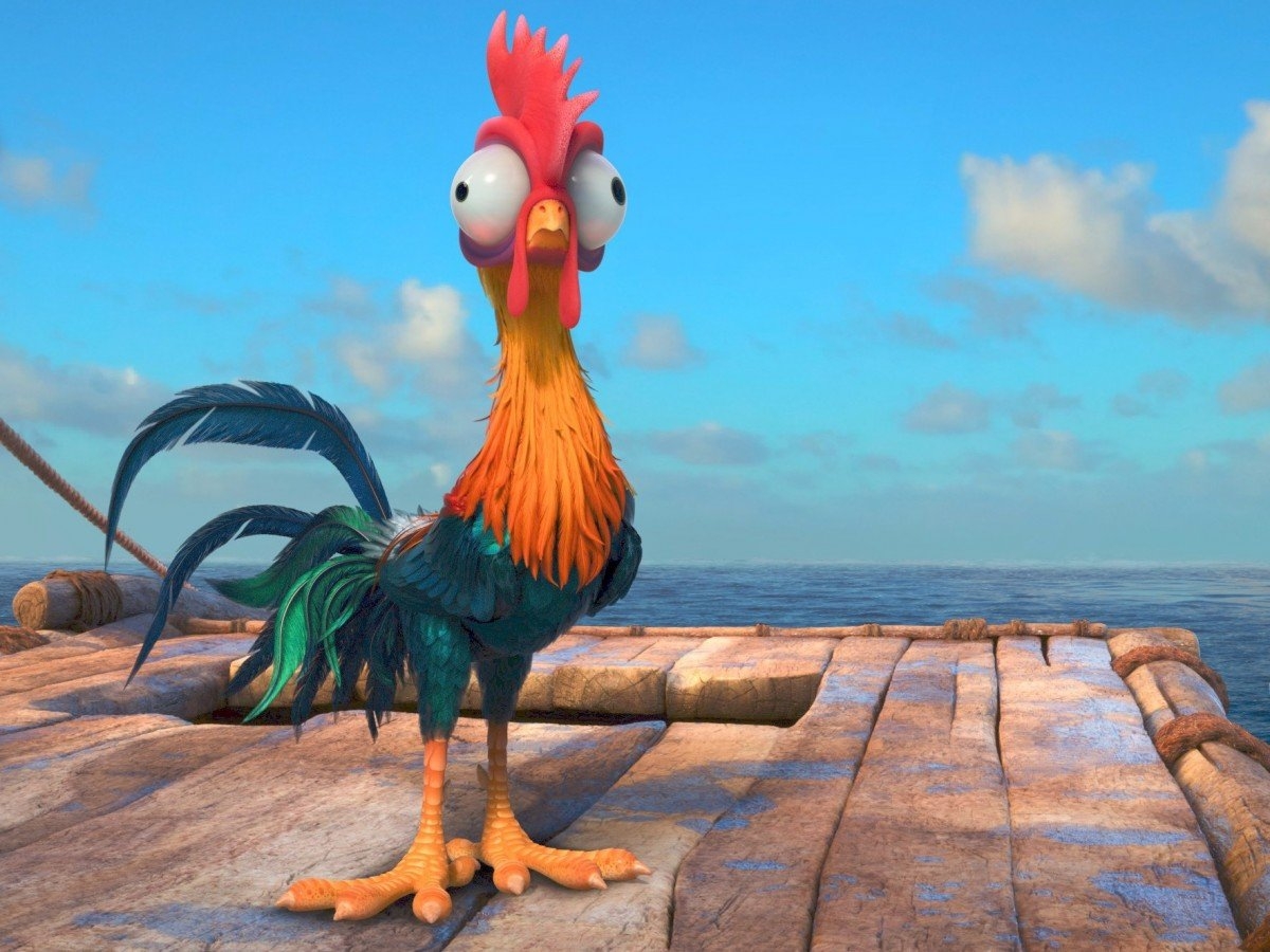 Hei Hei Moana Httpkoopa Hei Hei Moana Httpkoopa