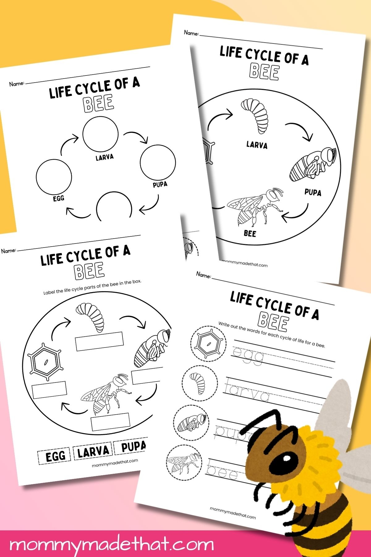 Honey Bee Life Cycle Cut And Stick SB8454 SparkleBox Worksheets Honey Bee Life Cycle Cut And Stick SB8454 SparkleBox Worksheets