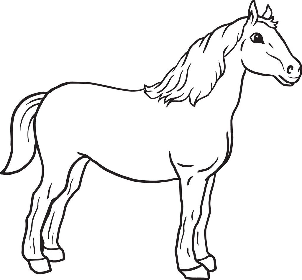 Horse 39 Printable Coloring Pages Coloring Book 6000 Coloring Pages Horse 39 Printable Coloring Pages Coloring Book 6000 Coloring Pages