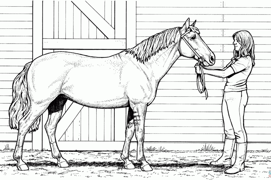 Horse Coloring Pages Hard Coloring Home