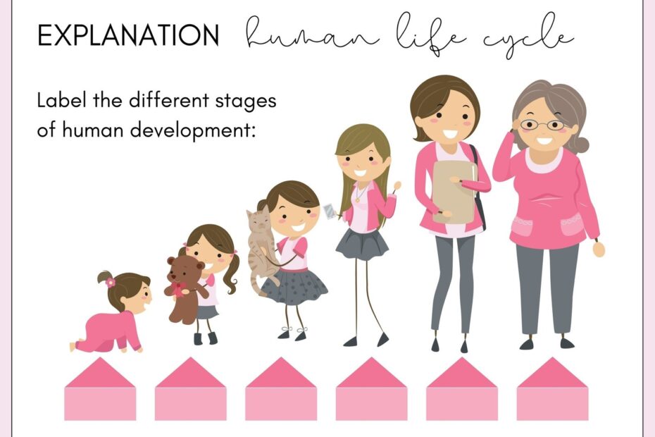 Human Life Cycle Lights Crystal