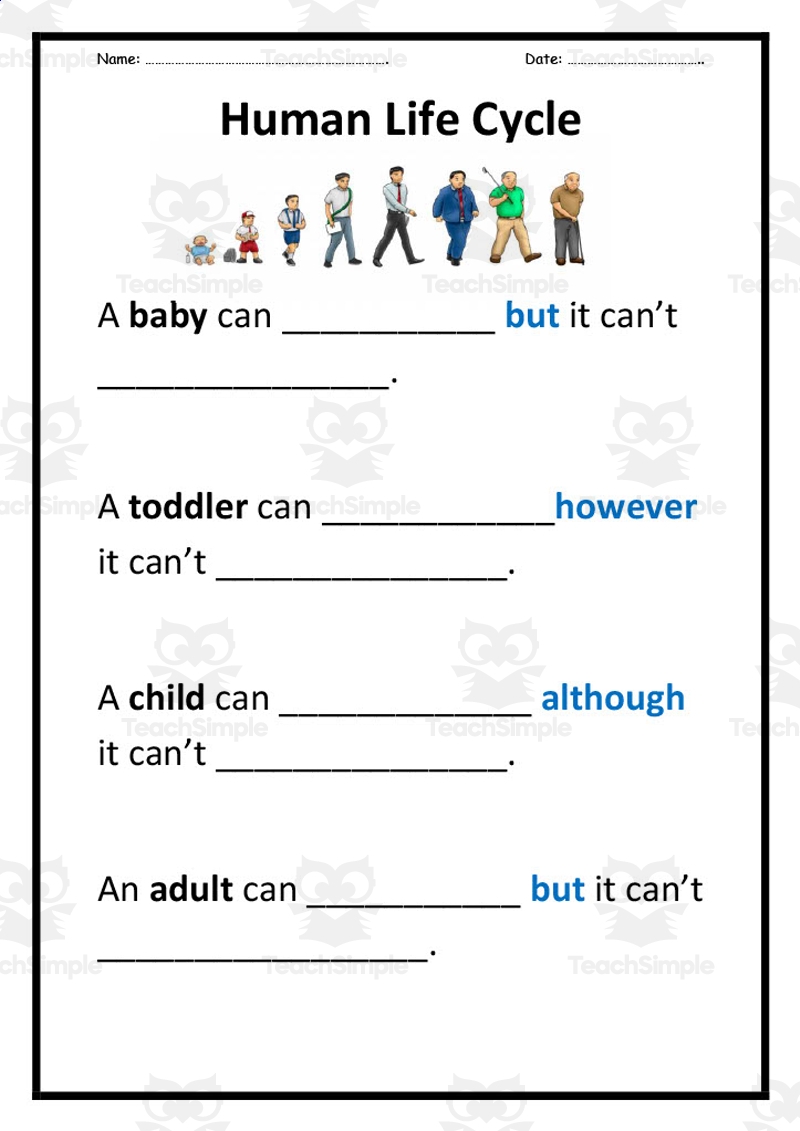 Human Life Cycle Worksheet Free Printable For Children Worksheets Human Life Cycle Worksheet Free Printable For Children Worksheets
