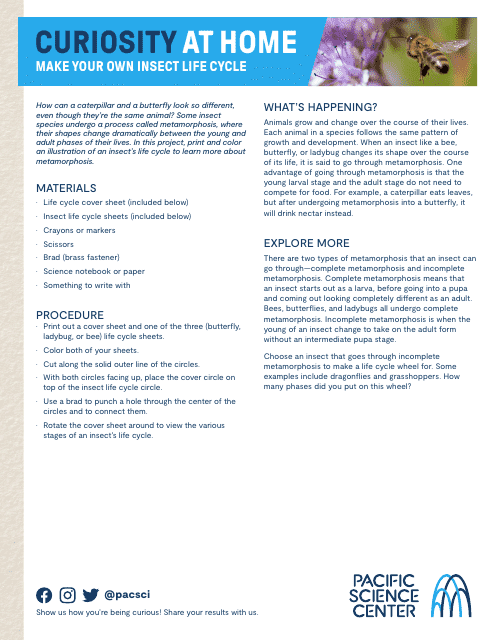 Insect Life Cycle Worksheet Download Printable PDF Templateroller Insect Life Cycle Worksheet Download Printable PDF Templateroller